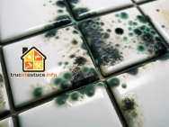 Joints de carrelage moisis